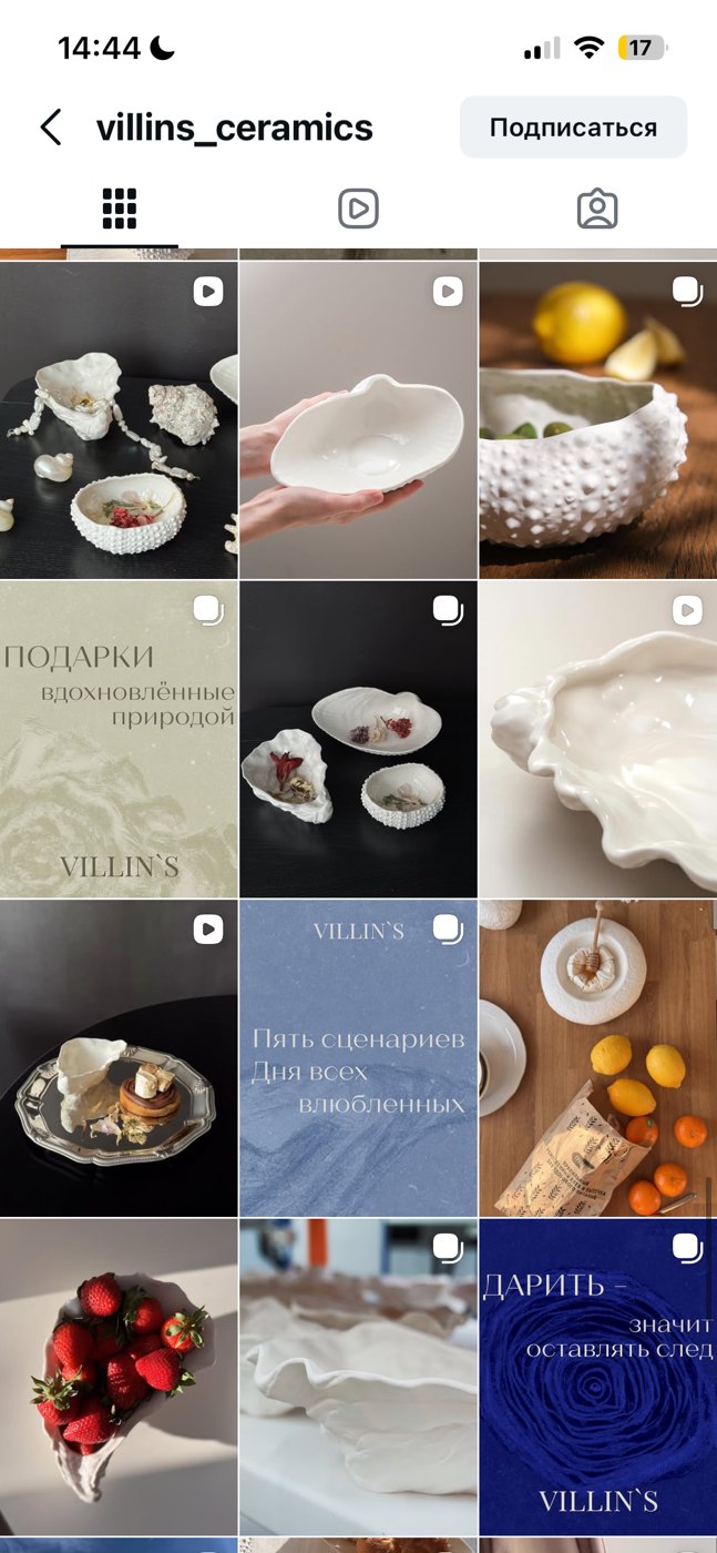 Villin's Instagram