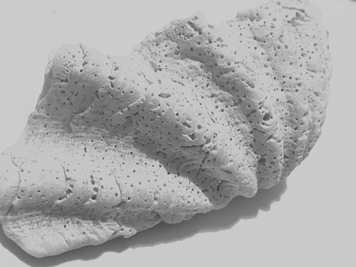 Villin's coral texture